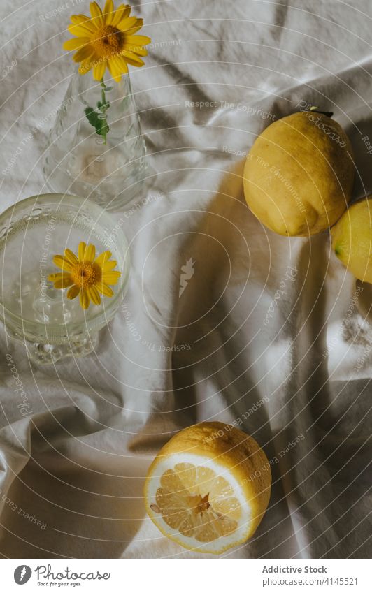 Cocktailglas mit Vase aus gelber Kamille und frischen Zitronen Glas Zusammensetzung filigran natürlich organisch Gesundheit Vitamin trinken Pflanze Blume Dekor