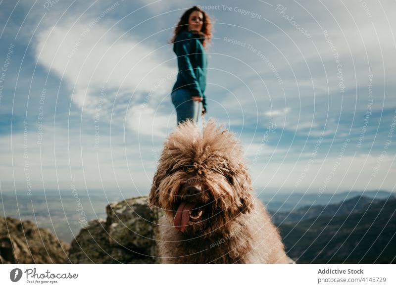 Lustiger Hund in der Nähe des Besitzers in den Bergen Frau Berge u. Gebirge lustig wolkig Himmel Natur puerto de la morcuera Spanien ausspannen Reise Felsen