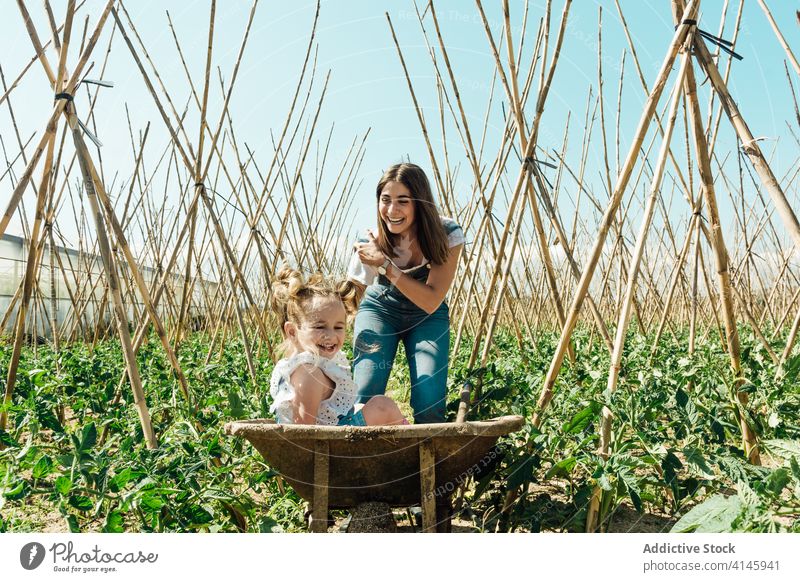 Glückliches Mädchen sitzt in Schubkarre in der Nähe lachende Mutter im Garten Spaß haben Tomate Buchse Gartenbau kleben Landschaft Blauer Himmel Kinderbetreuung