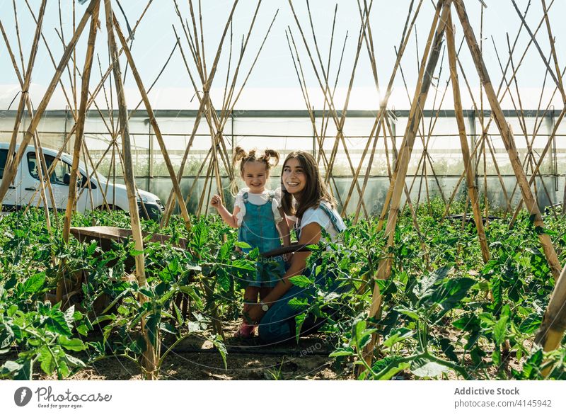 Glückliche Mutter umarmt Tochter in der Nähe von grünen Tomatensträuchern im Sommer Umarmen Buchse Gartenbau Bonden Zuneigung genießen Landschaft Gartenarbeit