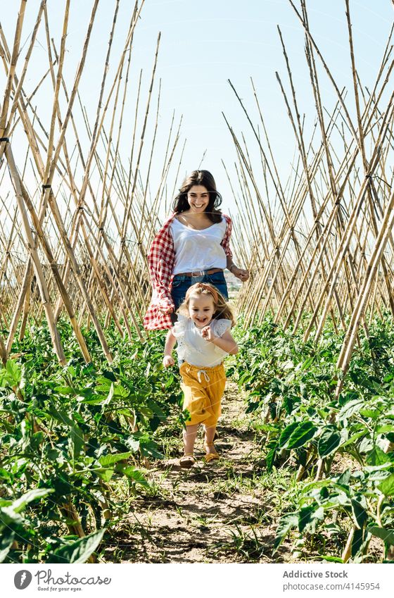 Glückliche Mutter und Tochter spielen aufholen in der Nähe von Tomatensträuchern Mädchen laufen Spaß haben unterhalten Aktivität sorgenfrei Buchse Gartenbau
