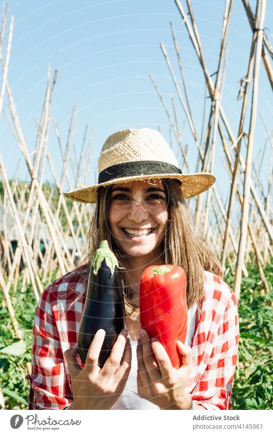 Lächelnder Gärtner zeigt große Auberginen und rote Paprika im Sommer Gemüse Ernte frisch Gartenbau Inhalt Landschaft Blauer Himmel Frau froh idyllisch Strohhut