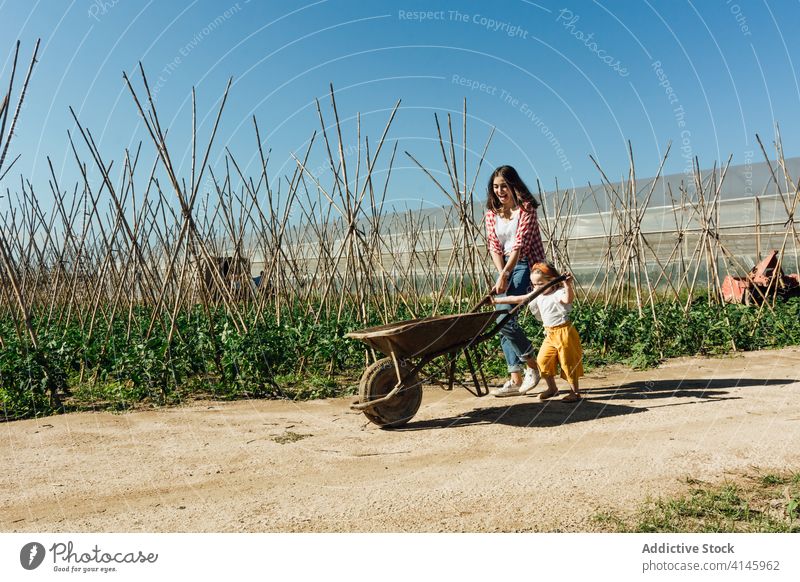 Glückliches Mädchen und Mutter zu Fuß in der Nähe Schubkarre im Garten Spaß haben Tomate Buchse Gartenbau kleben Landschaft Blauer Himmel Kinderbetreuung