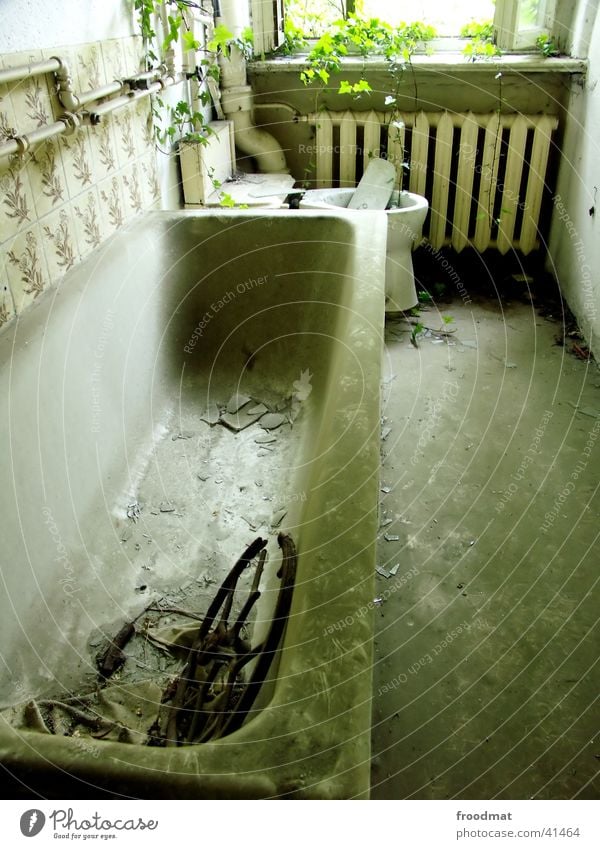 Wanne oder Natur? Badewanne Schrott Fenster Staub Ranke Häusliches Leben kämpfen Rückgewinn verfallen Toilette Heizkörper dreckig Schönes Wetter