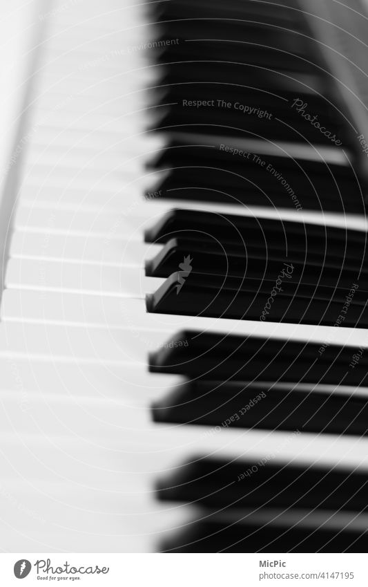 Musik in schwarz-weiss Tasten Tasteninstrumente Klavier Keyboard tasten schwarzweiß stille allein üben Musikinstrument Klaviatur Detailaufnahme Klavier spielen