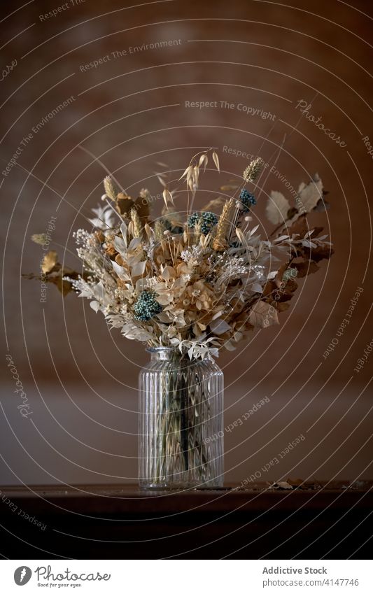 Blumenstrauß in Vase Haufen getrocknet Stock Pflanze Beton Glas verschiedene sortiert trocknen elegant Design natürlich geblümt Zusammensetzung zerbrechlich