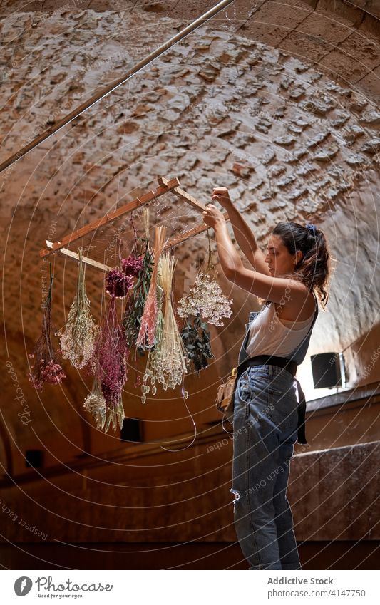 Frau hängt Trockenblumen in einem Gebäude auf getrocknet Blume Blumenstrauß hängen vorbereiten gealtert Zimmerdecke trocknen Pflanze Lächeln Prozess Hocker