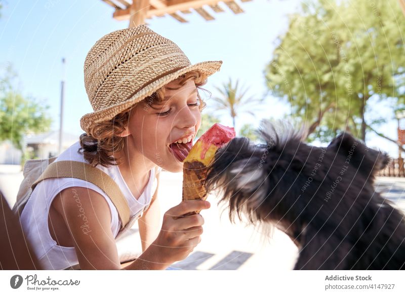 Süßer kleiner Junge teilt Eis mit Hund süß Dessert Speiseeis Spaß Kind Sommer lutschen Urlaub essen sich[Akk] entspannen niedlich ruhen Haustier geschmackvoll