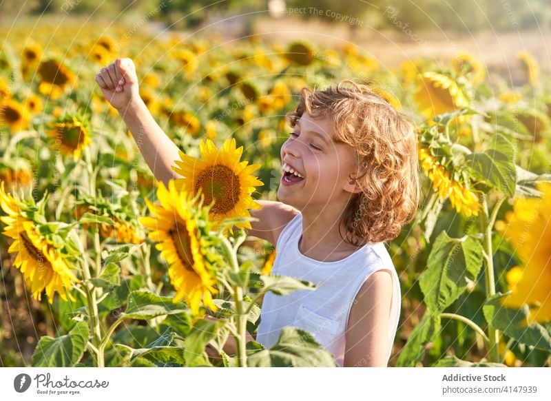 Nettes Kind in blühenden Sonnenblumenfeld Junge Feld genießen Sommer Blume Wiese Blütezeit Natur Freude Glück Lächeln aufgeregt Landschaft heiter grün gelb