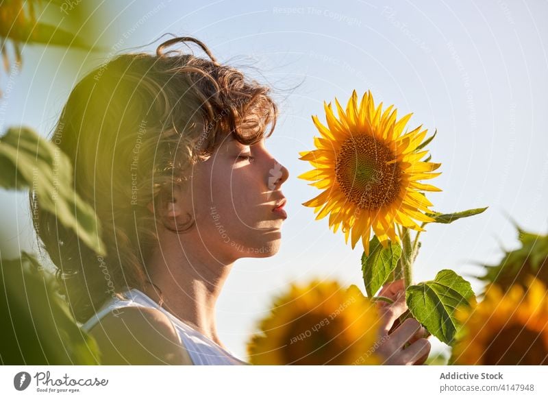 Nettes Kind in blühenden Sonnenblumenfeld Junge Feld genießen riechen Sommer aromatisch Blume Wiese Blütezeit Augen geschlossen Natur Freude Duft Landschaft