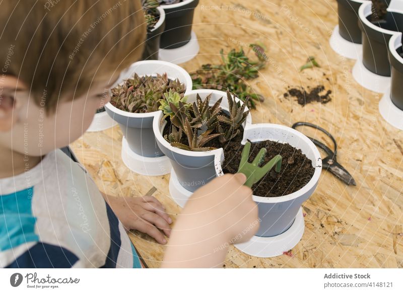 Anonymer Junge mit Gartenarbeit Gabel vorbereiten Erde für Pflanze im Topf lockern Boden Gartenbau kultivieren Kakteen Hecke Harmonie üppig (Wuchs) grün Anbauer