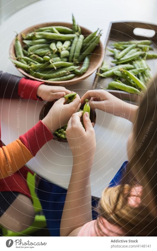 Erntekinder schälen zu Hause einen Haufen Erbsenschoten Kinder sich[Akk] schälen Hülse Hilfsbereitschaft frisch Vegetarier Schalen & Schüsseln Zusammensein