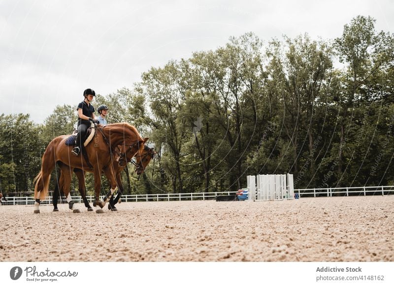 Reiterinnen reiten auf Pferden auf dem Reitplatz Dressur Pferderücken Mitfahrgelegenheit Frauen Sattelkammer Zusammensein Jockey Training Arena Sand Kastanie