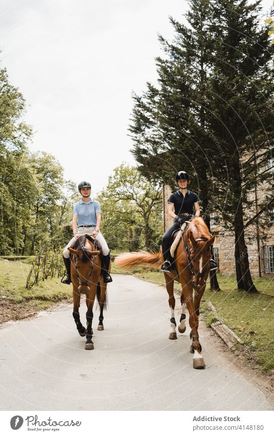 Weibliche Reiterinnen reiten auf Pferden entlang der Straße Mitfahrgelegenheit Frauen Pferderücken Zusammensein Jockey Dressur Kastanie Tier pferdeähnlich