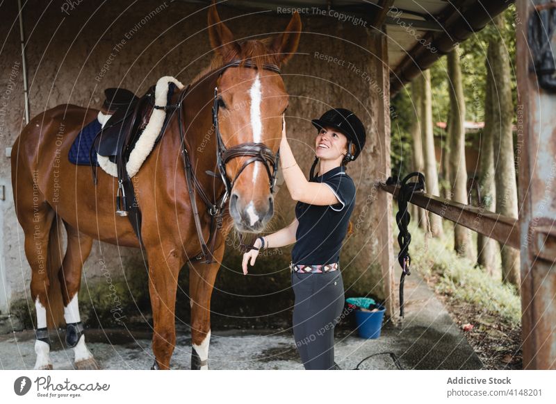 Weiblicher Jockey legt Pferd Zaumzeug an Frau Pferdestall vorbereiten angezogen Reiterin Tier beschäftigt Werkzeug Gerät Zügel pferdeähnlich jung Konzentration