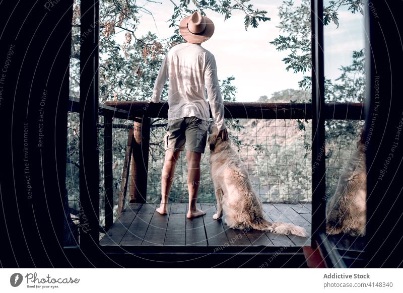 Ruhiger Mann mit Hund im Baumhaus Wald Haus reisen bewundern Landschaft Zusammensein Tier männlich Balkon freundlich spektakulär sich[Akk] entspannen Freund