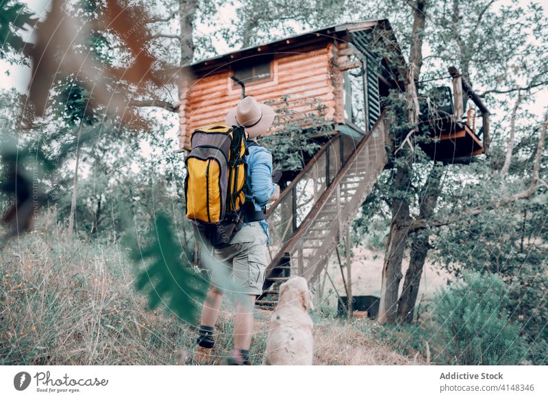 Reisender Mann in der Nähe von Baumhaus mit Hund im Wald Haus Kabine Hütte Rucksack Wälder hölzern Gebäude Abenteuer männlich reisen Tourismus Natur Feiertag