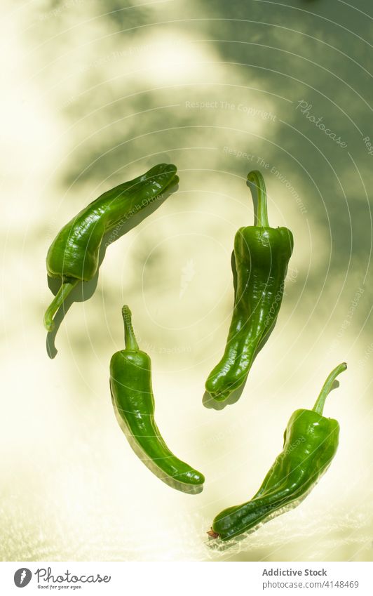 Frische grüne Paprika auf dem Tisch Peperoni frisch reif Gemüse ganz Bestandteil Lebensmittel natürlich organisch Gesundheit hell roh farbenfroh Küche Gewürz