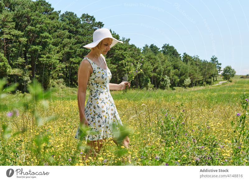 Frau geht in blühendem Feld Sommer Blumenstrauß Wiese Blüte sonnig Inhalt Kleid Hut Landschaft Blütezeit jung genießen frisch Lächeln sich[Akk] entspannen