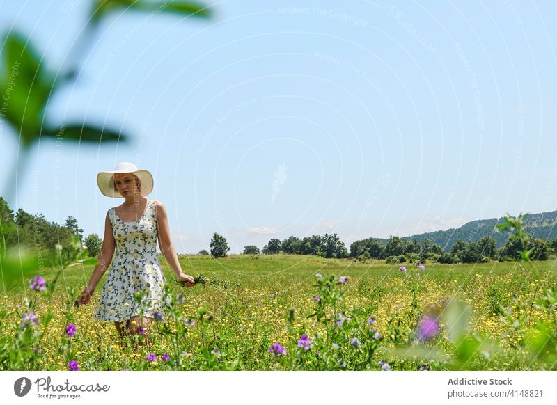 Frau geht in blühendem Feld Sommer Blumenstrauß Wiese Blüte sonnig Kleid Hut Landschaft Blütezeit jung frisch Lächeln sich[Akk] entspannen geblümt Dame Haufen
