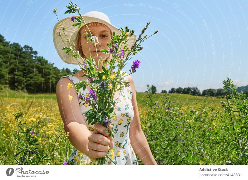 Lächelnde Frau in blühendem Feld Sommer Blumenstrauß Wiese Blüte sonnig Inhalt Kleid Glück Hut Landschaft Blütezeit jung genießen frisch sich[Akk] entspannen