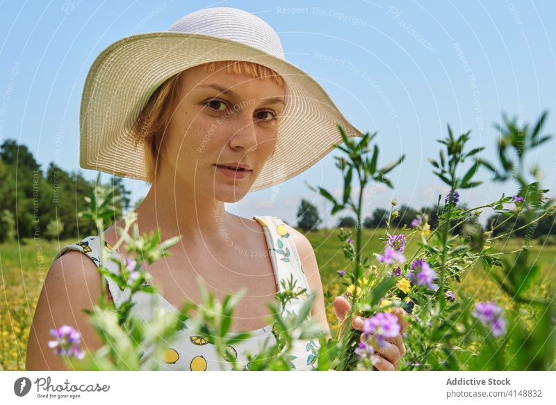 Lächelnde Frau in blühendem Feld Sommer Blumenstrauß Wiese Blüte sonnig Inhalt Kleid Glück Hut Landschaft Blütezeit jung genießen frisch sich[Akk] entspannen