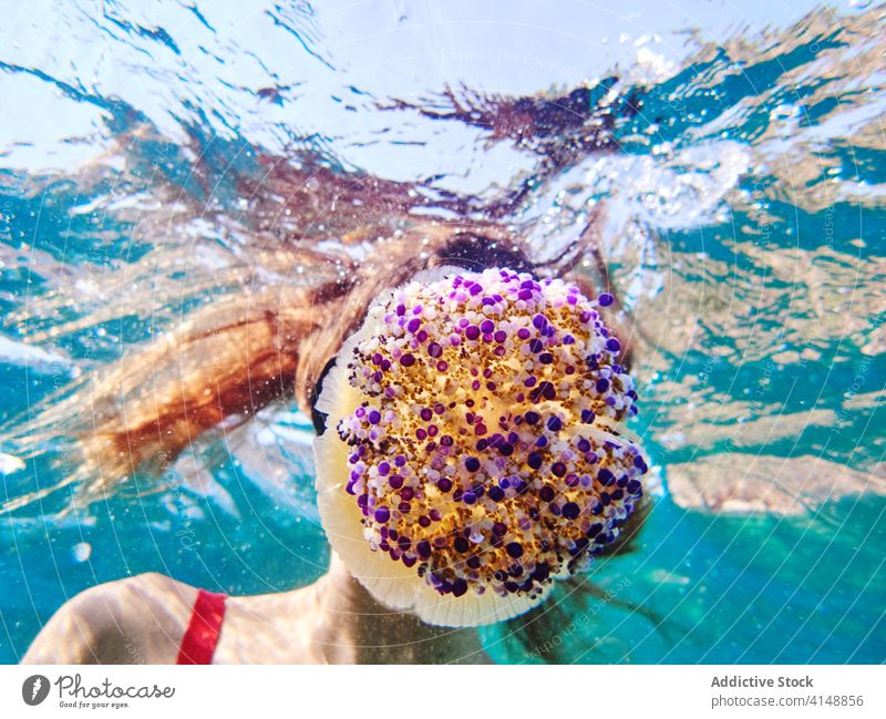 Taucherinnen erforschen Unterwassertiere Frau unter Wasser Qualle Tier Mundschutz Schutzbrille Meer Leben erkunden MEER Schnorchel Tauchgerät schwimmen jung