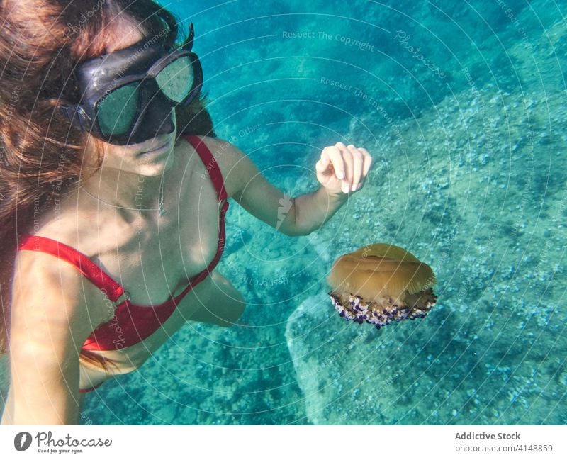 Taucherinnen erforschen Unterwassertiere Frau unter Wasser Qualle Tier Mundschutz Schutzbrille Meer Leben erkunden MEER Schnorchel Tauchgerät schwimmen jung