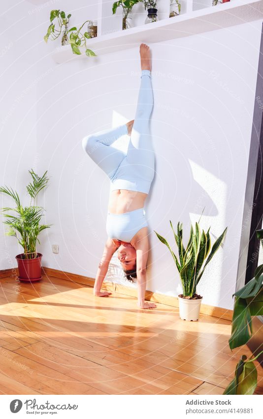 Ruhige Frau übt Yoga zu Hause üben beweglich Handstand ruhig Gesundheit Gleichgewicht Asana Wellness Dehnung Harmonie adho mukha vrksasana Körper abstützen Wand