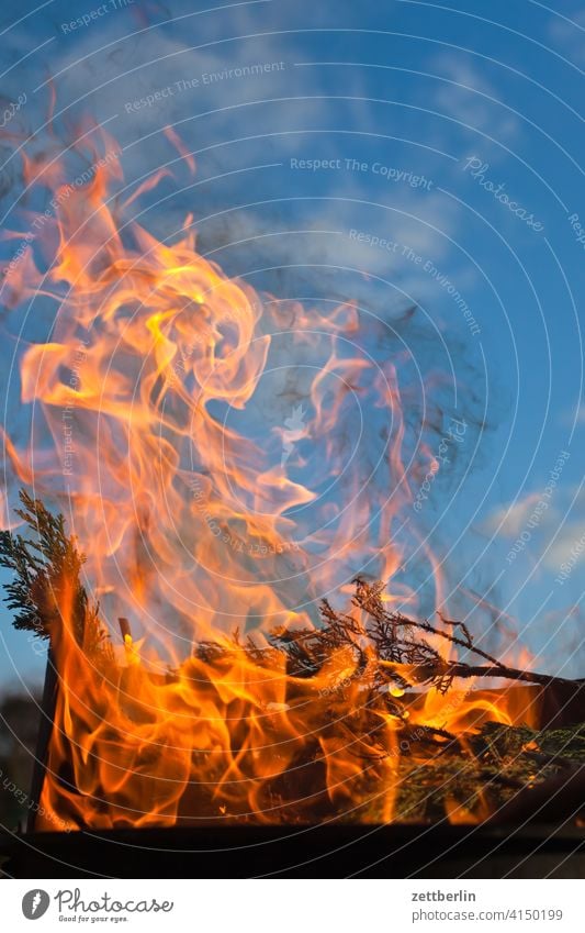 Feuer asche brennen feuer feuerschale feuerwehr flamme gefahr gefährlich glut heiß hitze lodern osterfeuer verbrennen verbrennung versicherung schrebergarten