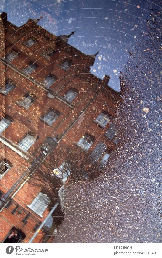 Lübeburger Pfütze Spiegelung Haus historisch Altstadt Lüneburg Wasser Bodenbelag wohnen Gebäude Surrealismus