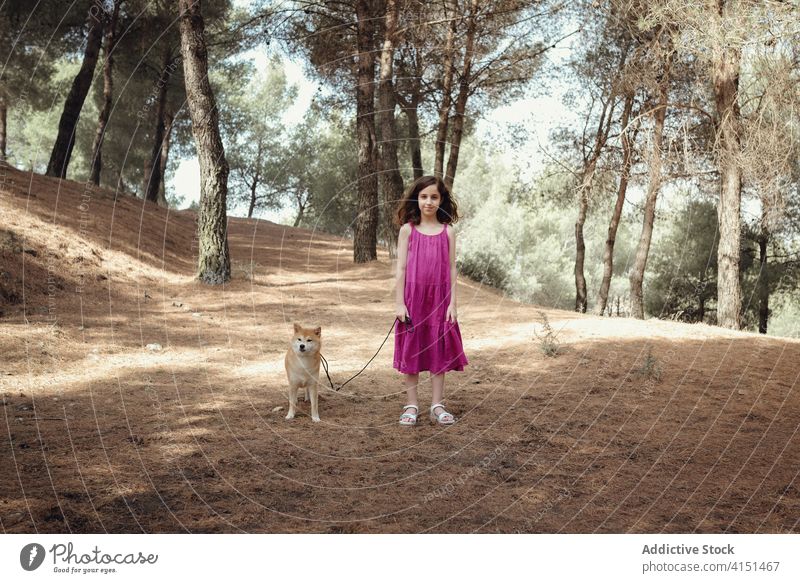 Mädchen mit Hund stehend im Wald Zusammensein Kind Sommer Haustier Natur Freund gehorsam farbenfroh Glück anleinen Tier Eckzahn bezaubernd Wälder Feiertag