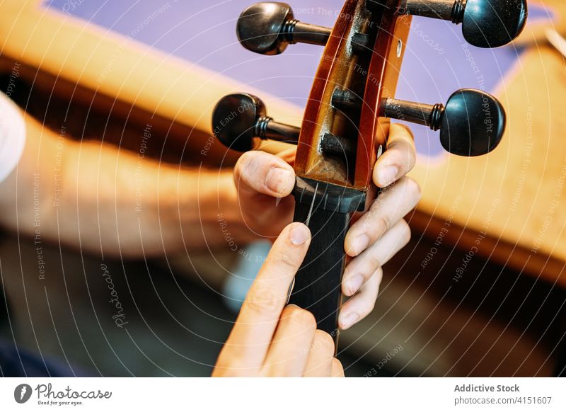 Handwerker stimmt Streichinstrumente in der Werkstatt Zupfinstrumentenmacher Reparatur Zapfen Melodie Schnur Instrument Geige Kunstgewerbler wiederherstellen