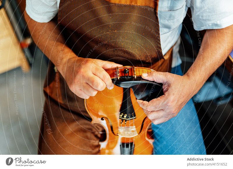 Geigenbauer befestigt Klammer an Geige Reparatur einklemmen Kunsthandwerker Zupfinstrumentenmacher Kunstgewerbler wiederherstellen Werkzeug Instrument Mann