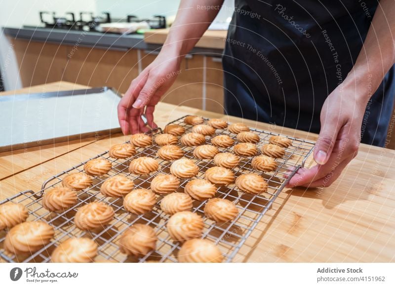 Gesichtsloser Bäcker mit fertigen Keksen auf einem Gestell Bäckerei heimwärts heiß Ablage cool bereit Küche Person Abfertigungsschalter Lebensmittel Gebäck