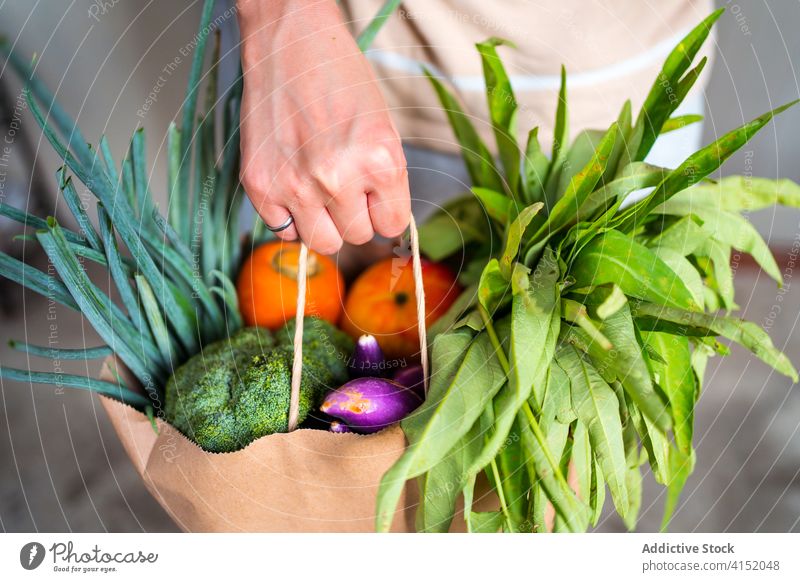 Erntehelferin mit frischen Lebensmitteln Lebensmittelgeschäft Frau Gemüse Frucht verschiedene Tüte organisch Veganer Vitamin Diät Käufer Ernährung Einzelhandel