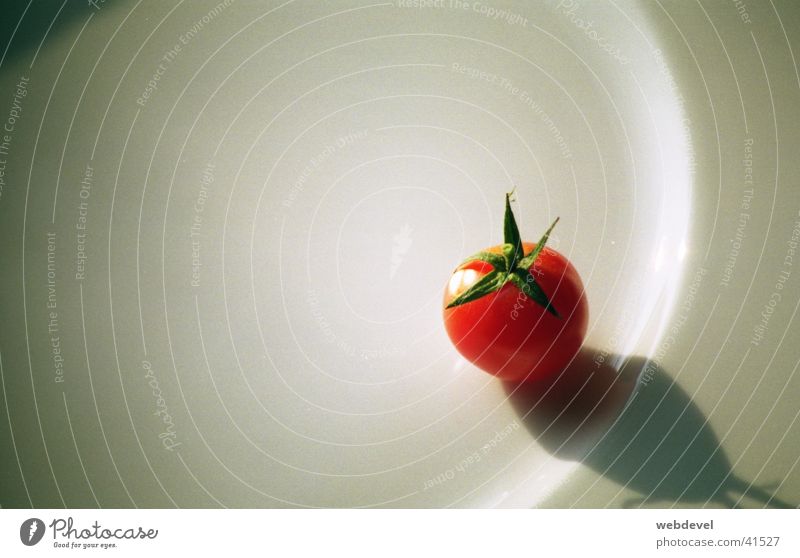 kleine_tomate rot-weiß Stillleben Ernährung Tomate Einsamkeit Punkt Nahaufnahme