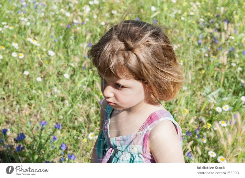 Niedliches kleines Kind im Feld Wochenende emotionslos Sommer niedlich ruhen Gras ernst bezaubernd sich[Akk] entspannen sitzen wenig Kindheit süß tagsüber