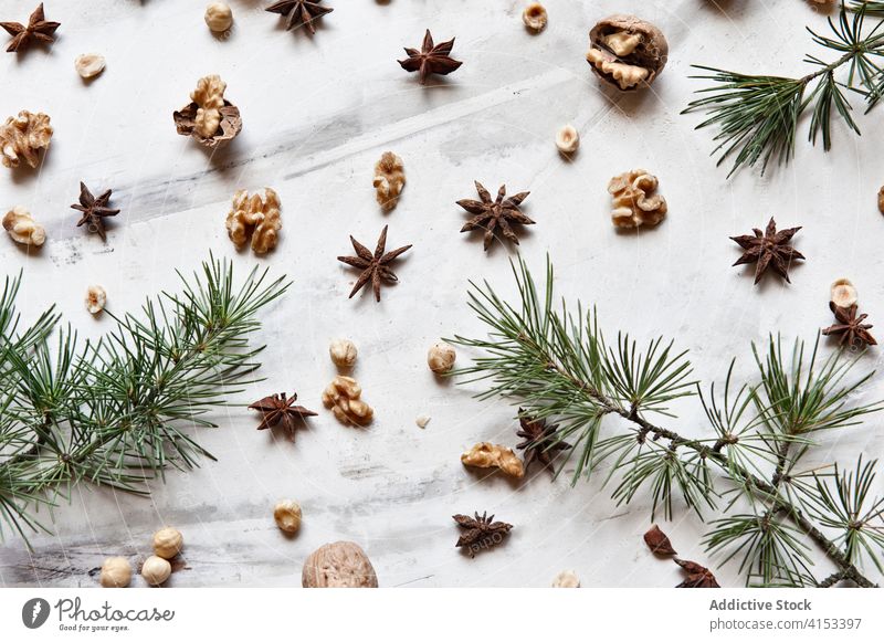Weihnachten Zusammensetzung mit Fichtenzweigen und Nüssen natürlich Hintergrund Dekoration & Verzierung Ast Aroma Design Feiertag Tradition Tanne Anis