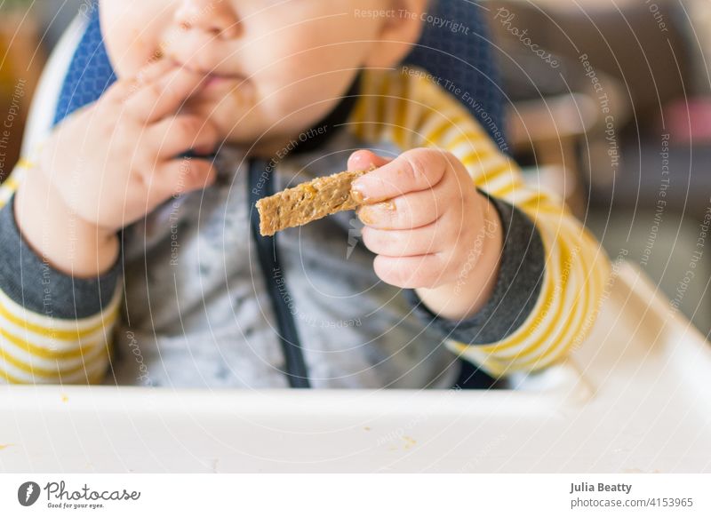 Kleinkind probiert Weizentoast mit Erdnussbutter; Exposition gegenüber allergenen Lebensmitteln Baby-geführte Entwöhnung babygeführte Entwöhnung 6-12 Monate alt