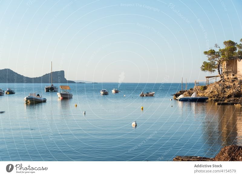 Wunderschöner Blick auf das Meer mit vertäuten Booten MEER Bucht Landschaft felsig Meereslandschaft Ufer Blauer Himmel sa caleta Ibiza Spanien Strand Baum