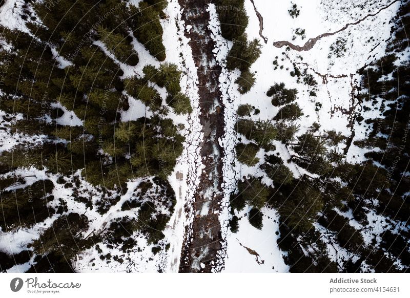 Gefrorener Fluss im Wald im Winter gefroren Wälder nadelhaltig Schnee Winterzeit Landschaft Immergrün Deutschland Österreich erstaunlich Frost malerisch Saison