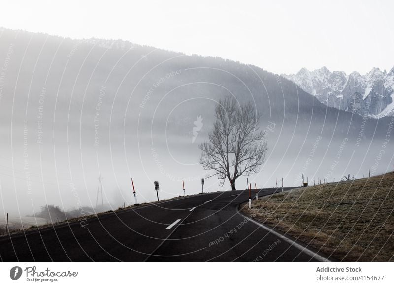 Einsamer Baum in nebligem Terrain vor Bergen Nebel trist einsam Berge u. Gebirge Straße Landschaft sehr wenige grau kalt laublos Natur Umwelt stumm Dunst Wetter