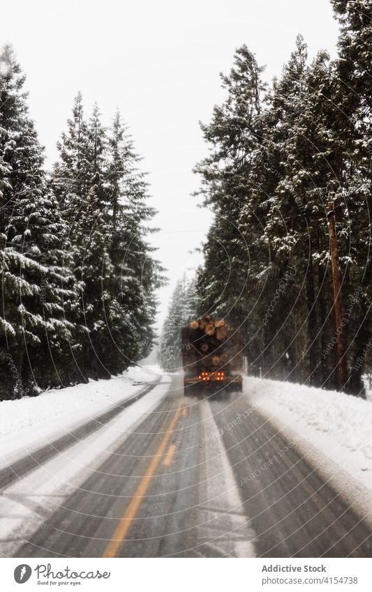 Lastwagen mit Holzstämmen auf verschneiter Straße im Wald Winter PKW Laufwerk Fahrbahn Schnee Ladung Totholz Natur reisen Wälder Baum Wetter Immergrün