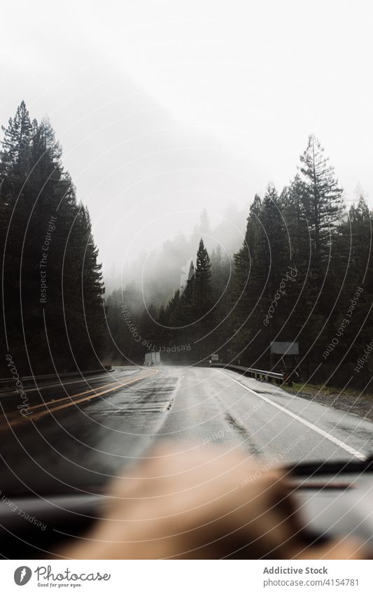 Reisender fährt Auto entlang der Straße Laufwerk PKW Wald Nebel Fahrer Windschutzscheibe nadelhaltig nass Autoreise USA amerika Vereinigte Staaten reisen Natur
