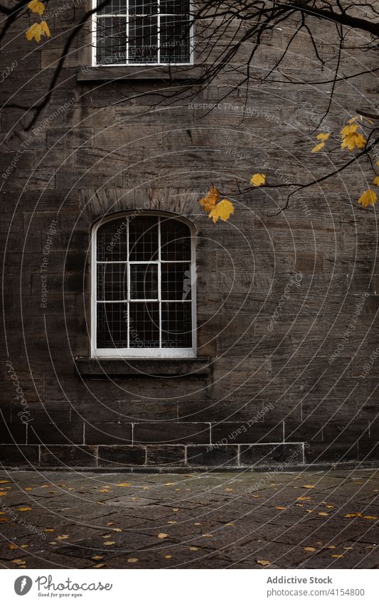 Teil eines Steingebäudes in der Stadt wohnbedingt Gebäude Straße Herbst trist Fassade Architektur Großstadt schäbig Schottisches Hochland Schottland