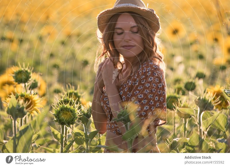 Junge Frau hat Spaß in Sonnenblumenfeld Feld Sommer Glück genießen Freiheit sorgenfrei Spaß haben Blume Blütezeit Natur Harmonie heiter jung Hut Landschaft