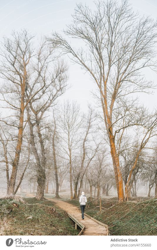 Unerkennbare Frau zu Fuß auf nebliger Straße auf dem Lande Nebel Gasse Wald Landschaft kalt allein trist Weg Wanderung Natur Spaziergang Herbst Winter Saison