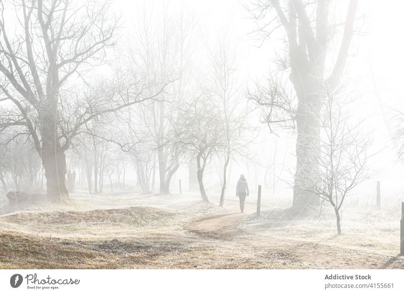 Unerkennbare Frau zu Fuß auf nebliger Straße auf dem Lande Nebel Gasse Wald Landschaft kalt allein trist Weg Wanderung Natur Spaziergang Herbst Winter Saison