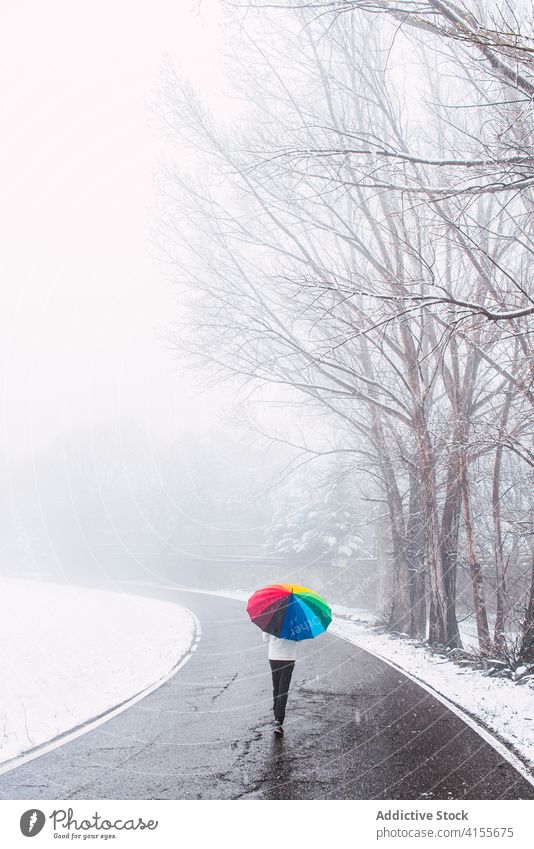 Unerkennbare Person, die im Winter die Straße entlang läuft Park farbenfroh Regenschirm Schnee Schneefall Spaziergang kalt Saison Pyrenäen Katalonien Spanien
